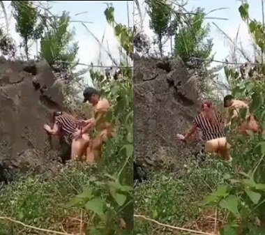 Chịch nhau trong khu rừng thỏa mãn